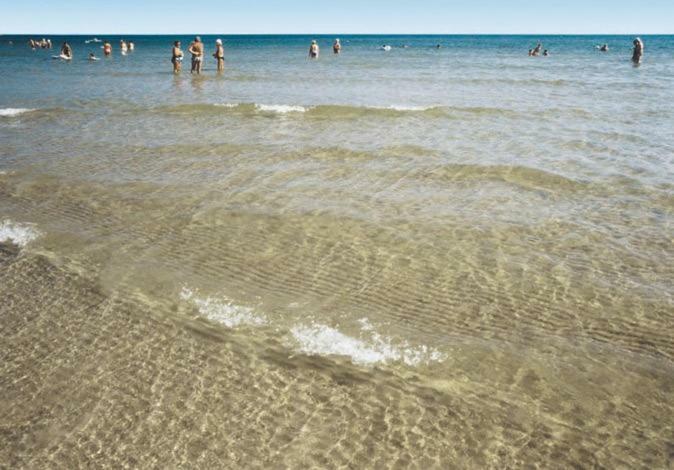 Senigallia D'Amare Luaran gambar
