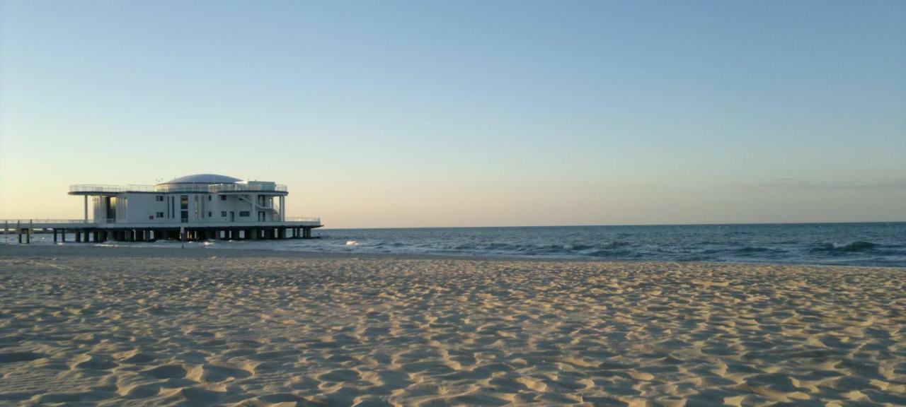 Senigallia D'Amare Luaran gambar